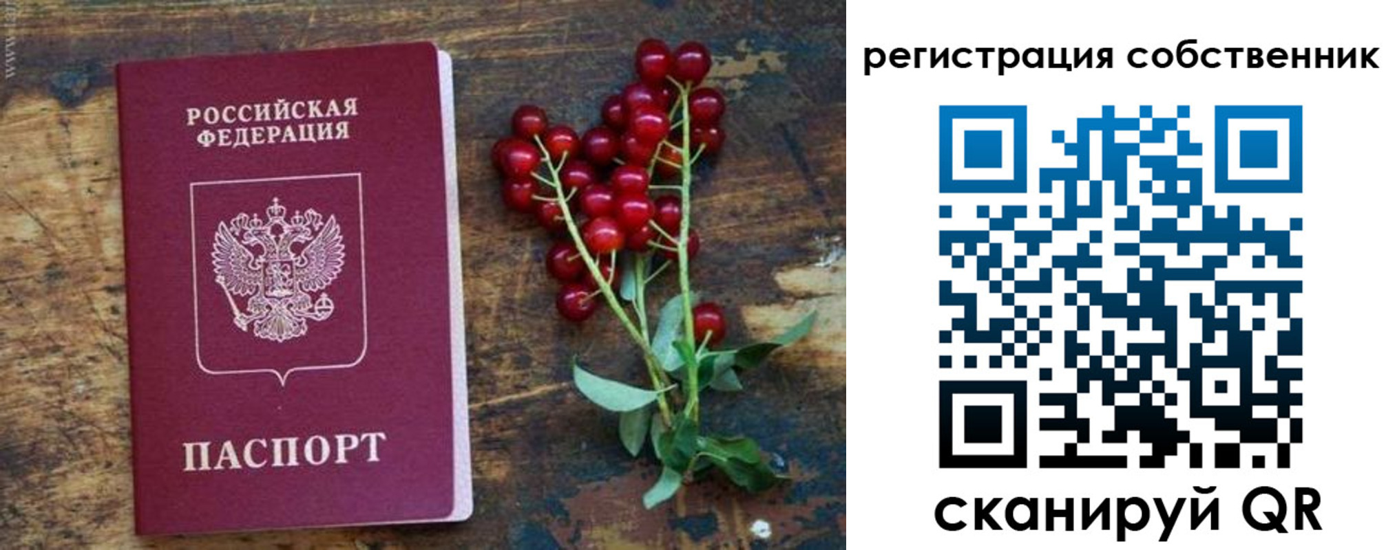 регистрация для дет. сада в Чаплыгине